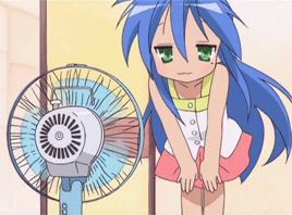 fan